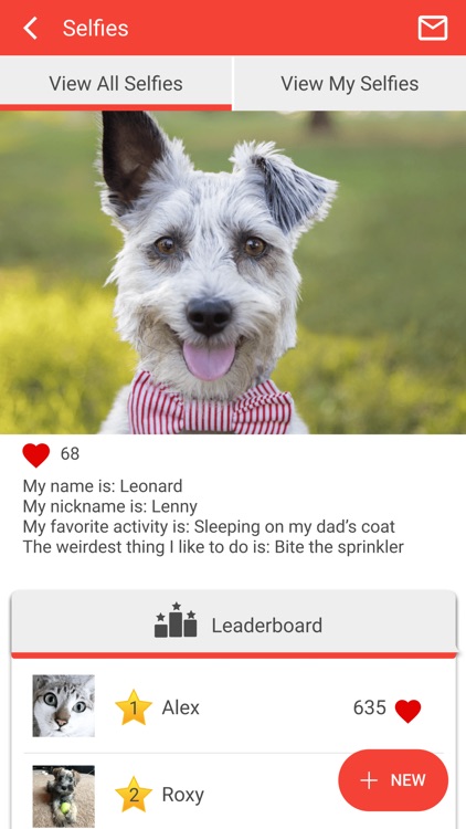 Cooper County Animal Hospital screenshot-3