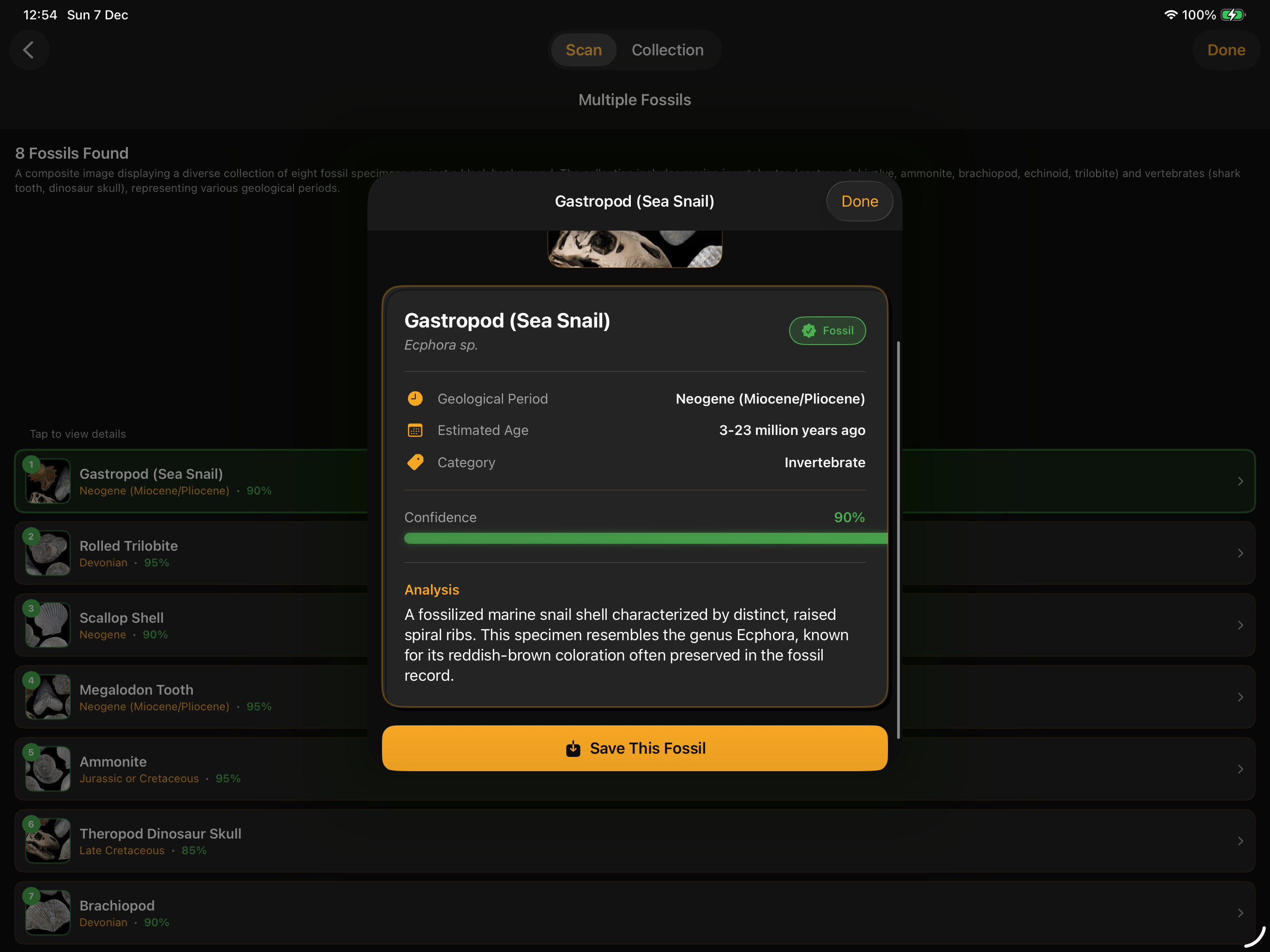 Fossilise screenshot 14