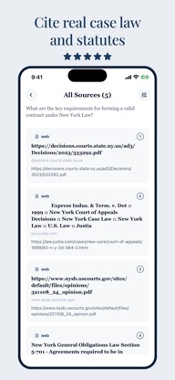LegalDeep AI Legal Assistant screenshot 3