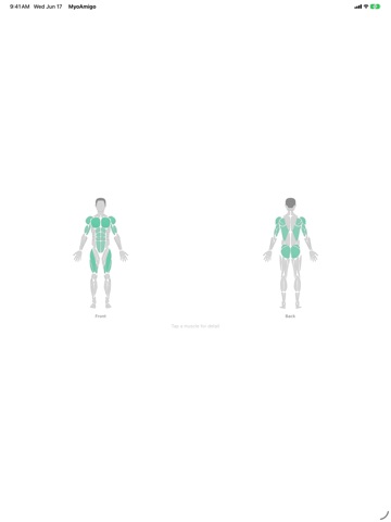 MyoAmigo: AI Workout Tracker iPad screenshot