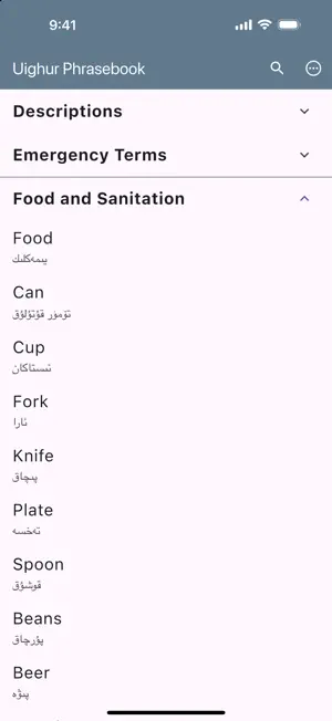 Uighur Phrasebook screenshot 4