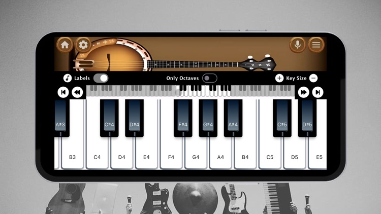 Banjo Instrument screenshot-3