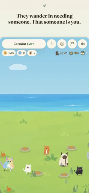 Catmint Cove screenshot 1
