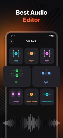 Voice Recorder & Memos: Vokmee screenshot