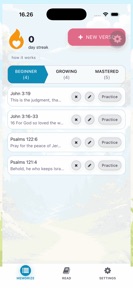 BIBLE HOOK: Memorize Scripture screenshot