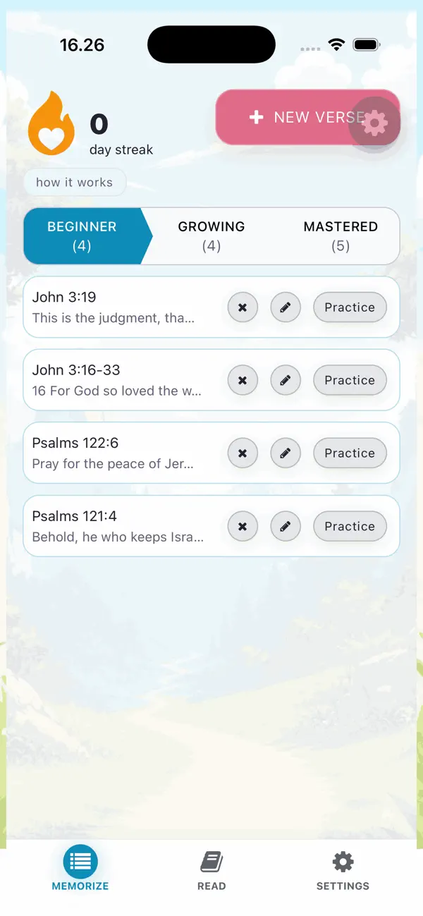 Screenshot #3 pour BIBLE HOOK: Memorize Scripture