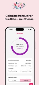 OB Wheel Pregnancy Calculator screenshot