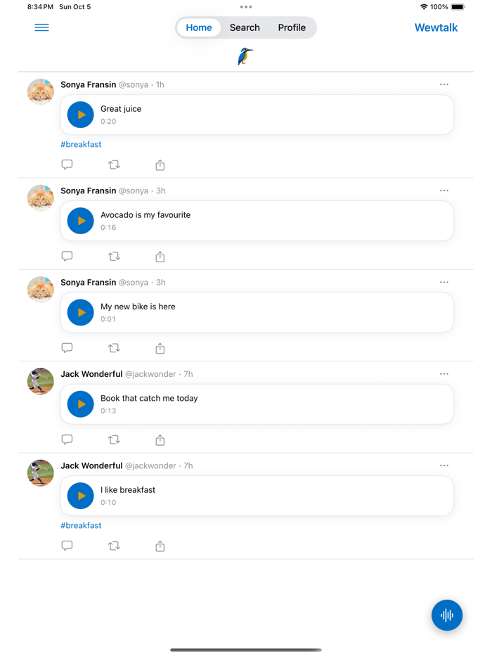 Wewtalk - Voice Social Network