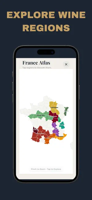 VinoPrep: WSET Study screenshot 2