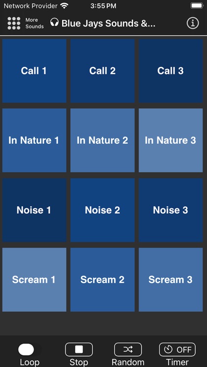 Blue Jays Sounds & Noises