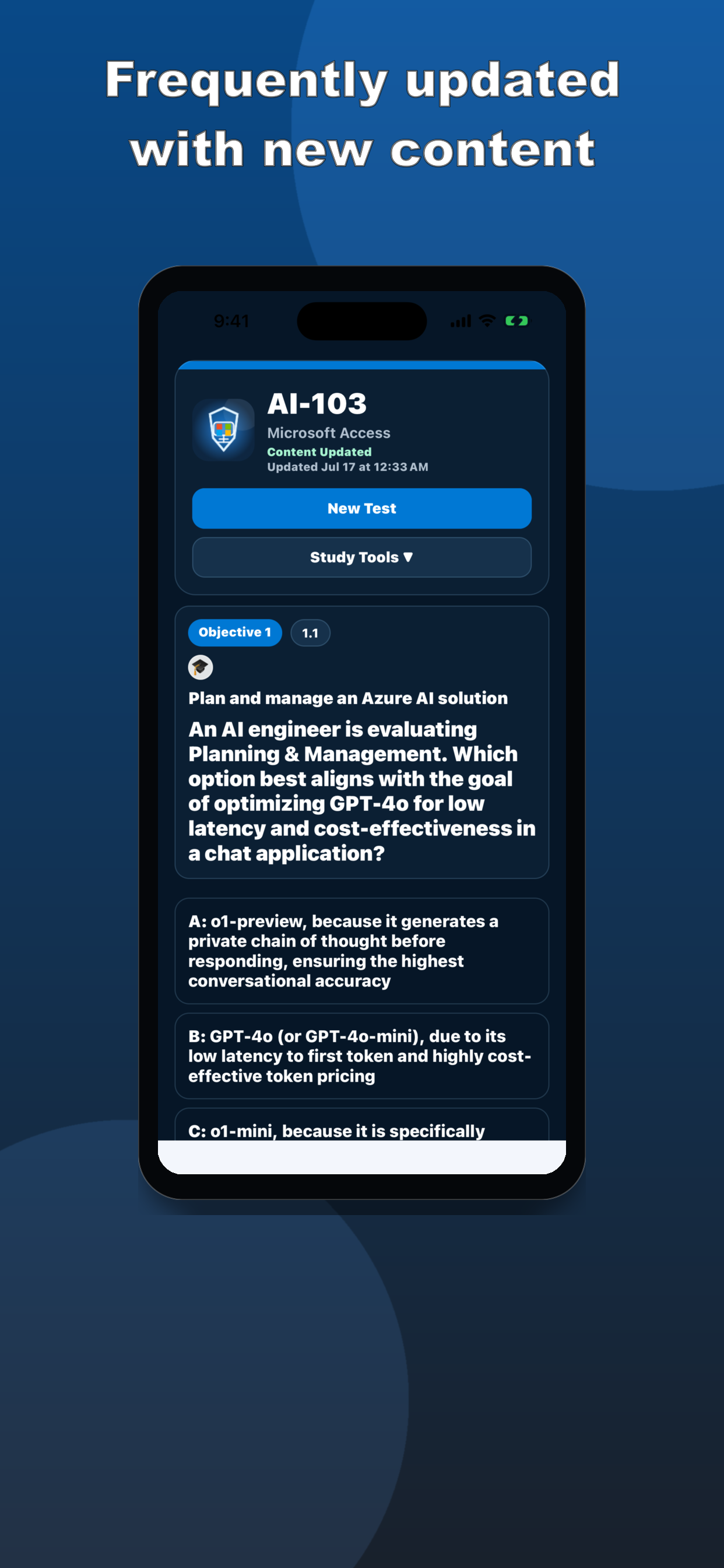 AI-103 Practice Test screenshot 10