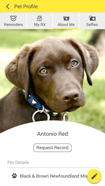 Winnetka Animal Clinic