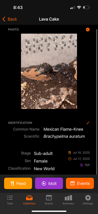 Tarantula Tracker Screenshot 6 of 7