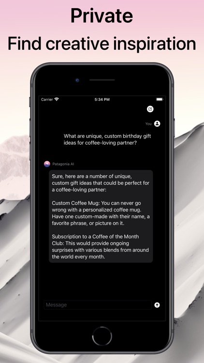 Patagonia Chat - Private AI