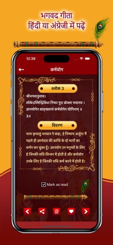 Bhagavad Gita Hindi ! iPhone screenshot