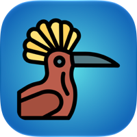 Verbify. Hebrew Verb Trainer.