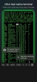 SSH Quick Connect: Pro Client screenshot