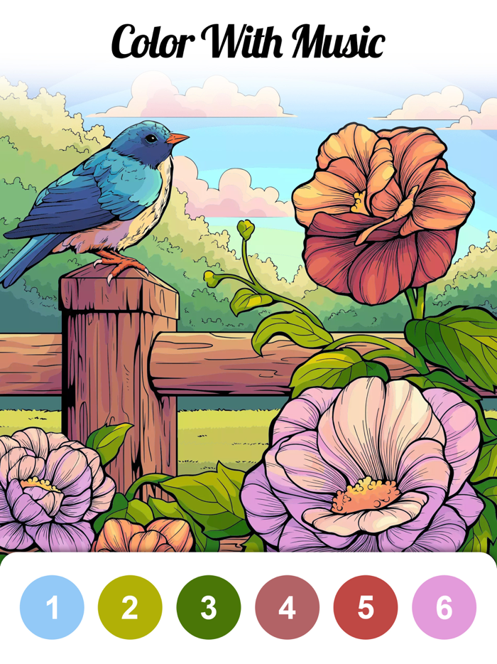 Calm Color-Color By Number