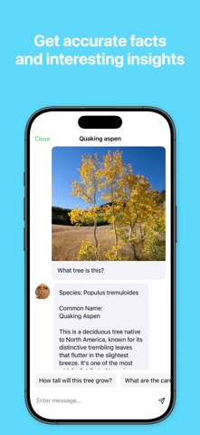 Tree Identifier: Tree AI screenshot
