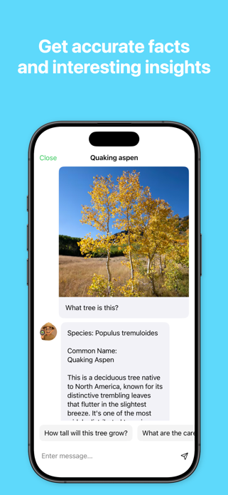 Tree Identifier: Tree AI Screenshot 2 of 3