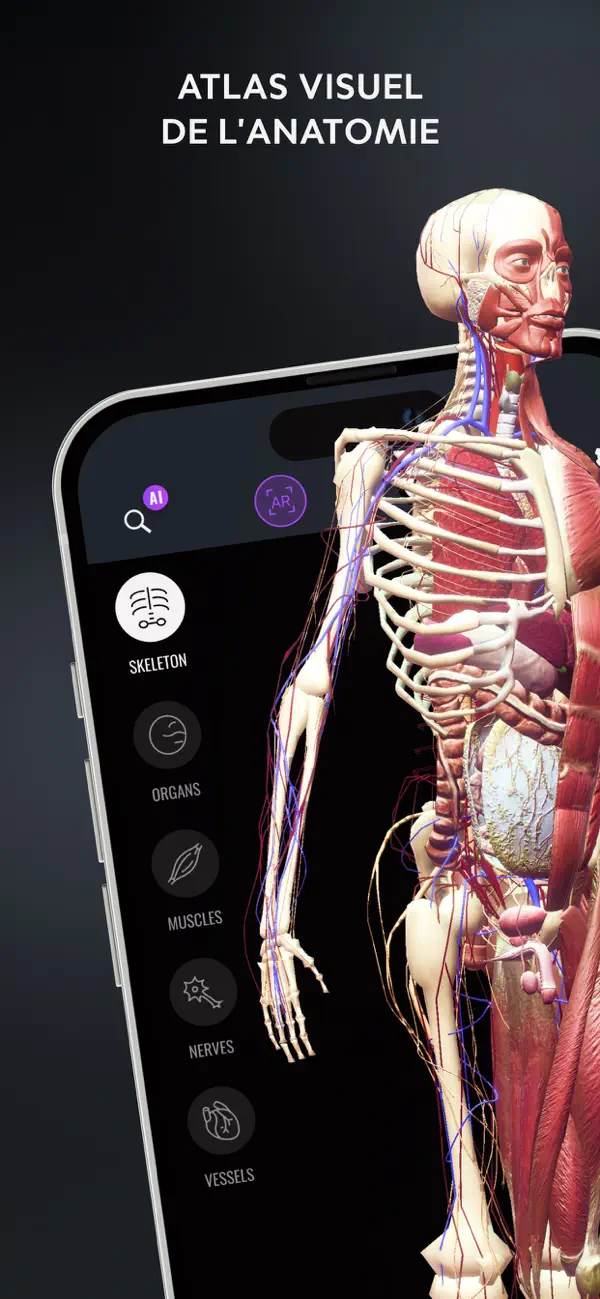 Screenshot #1 pour Corps Humain: Atlas Anatomie