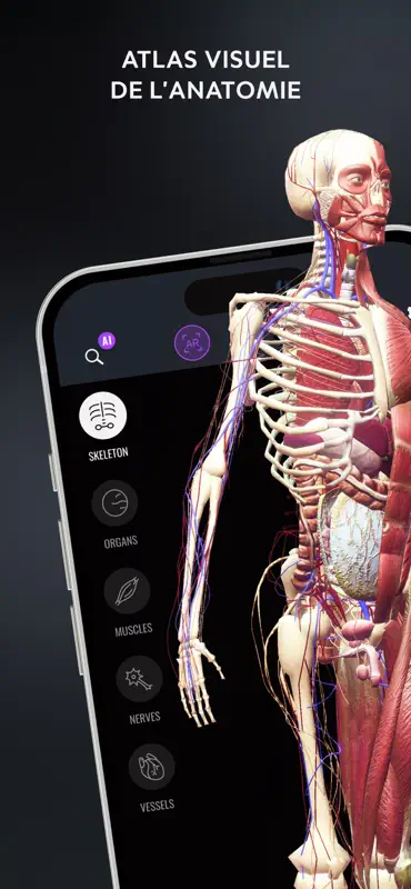 Human Anatomy Atlas: Skull 3D screenshot 1 of 6