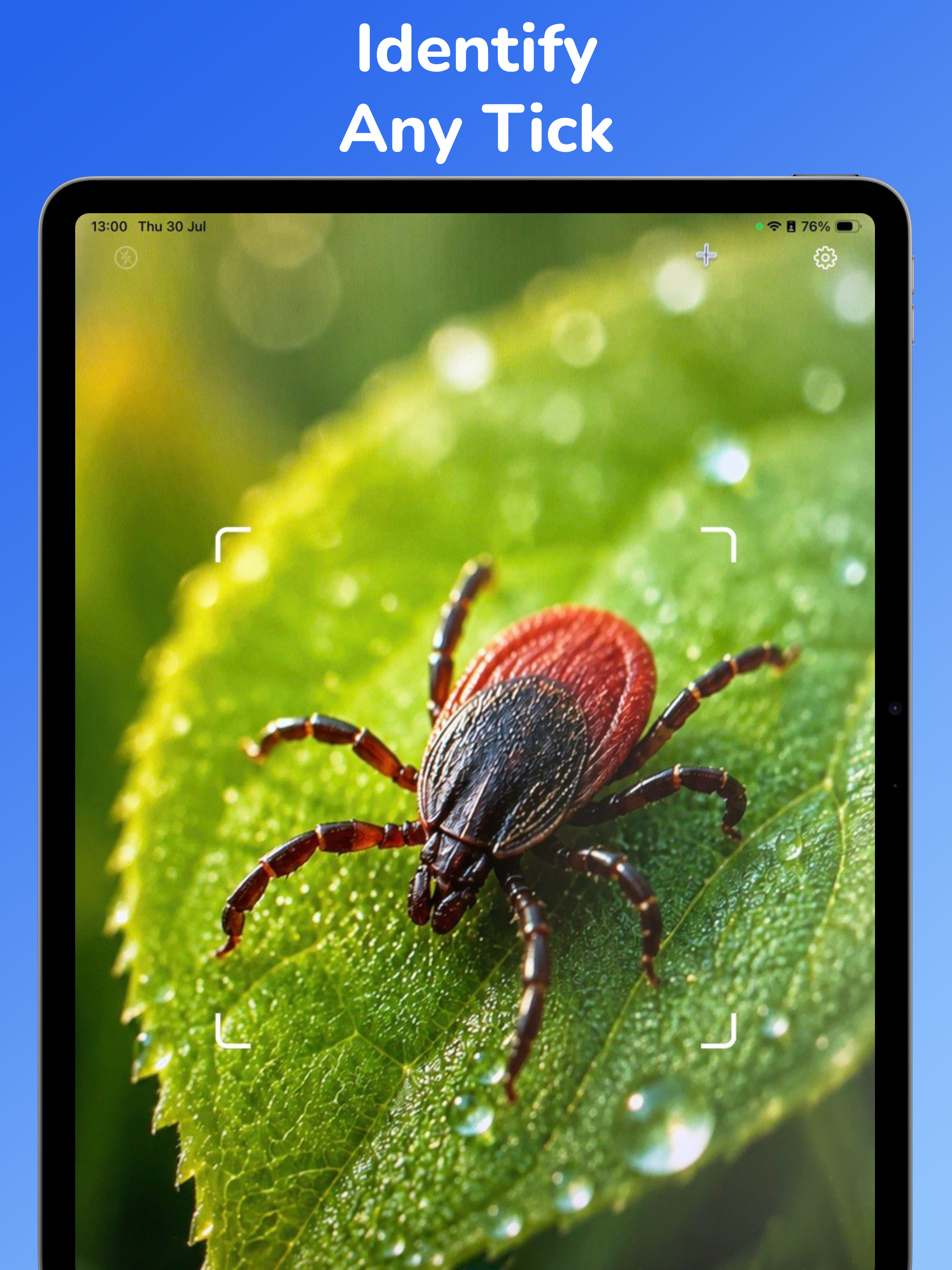 Tick Identifier: AI Scan screenshot 7