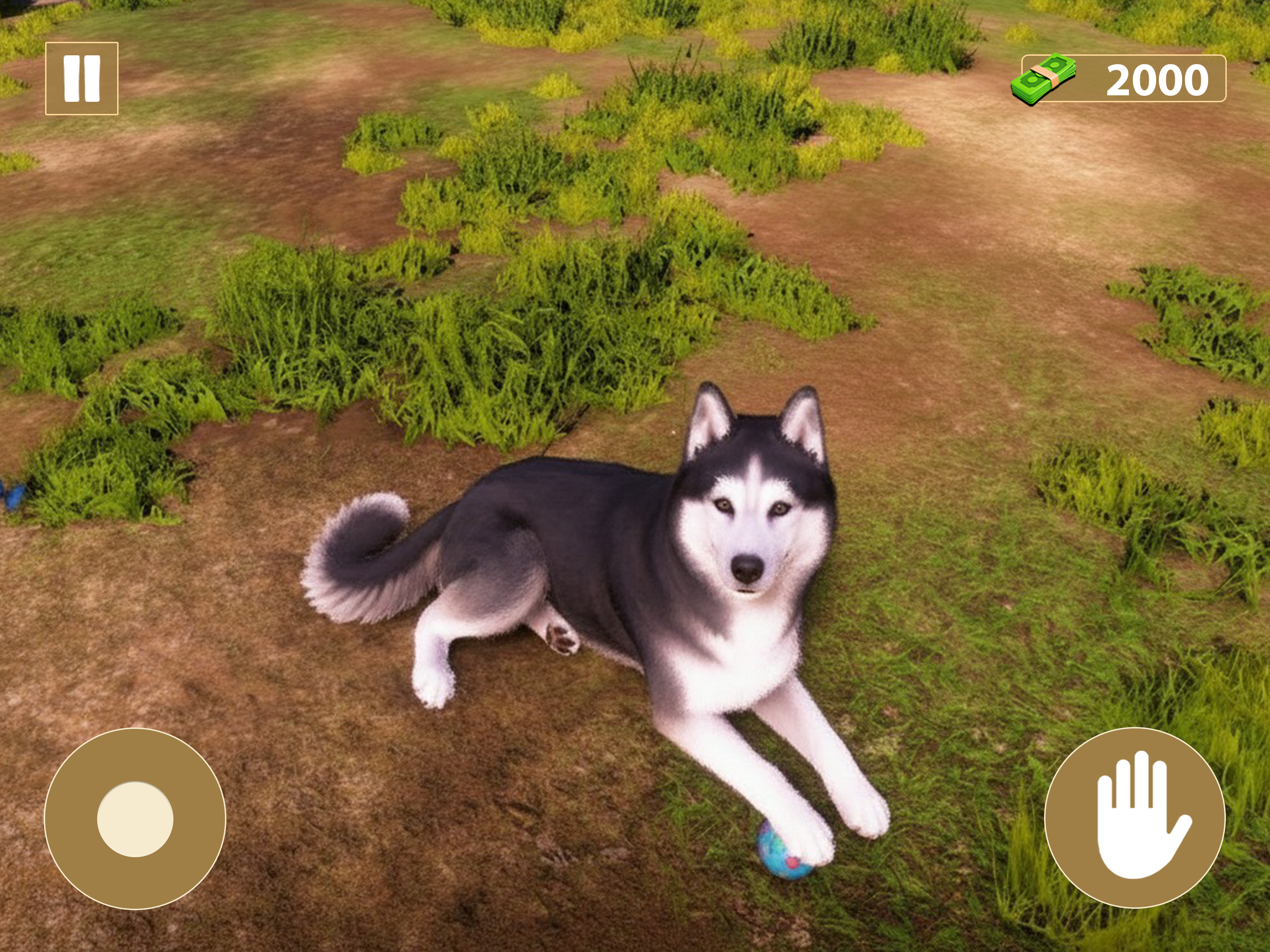 I Am Puppy Animal Care Game
