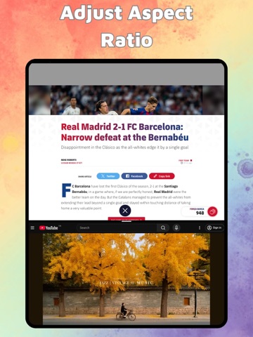 Split Screen & Dual Browser iPad screenshot