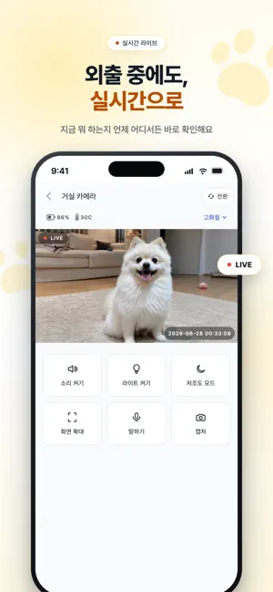 퍼피루스 - 안 사도 되는 AI 펫캠 screenshot 2