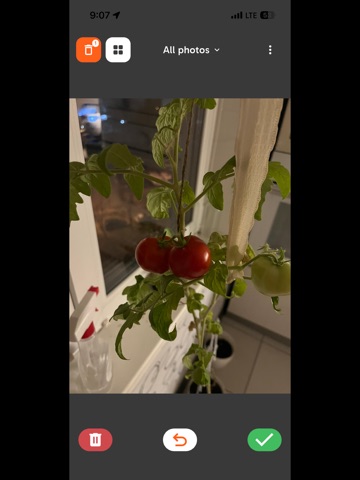 Swipe Photos Clean iPad screenshot