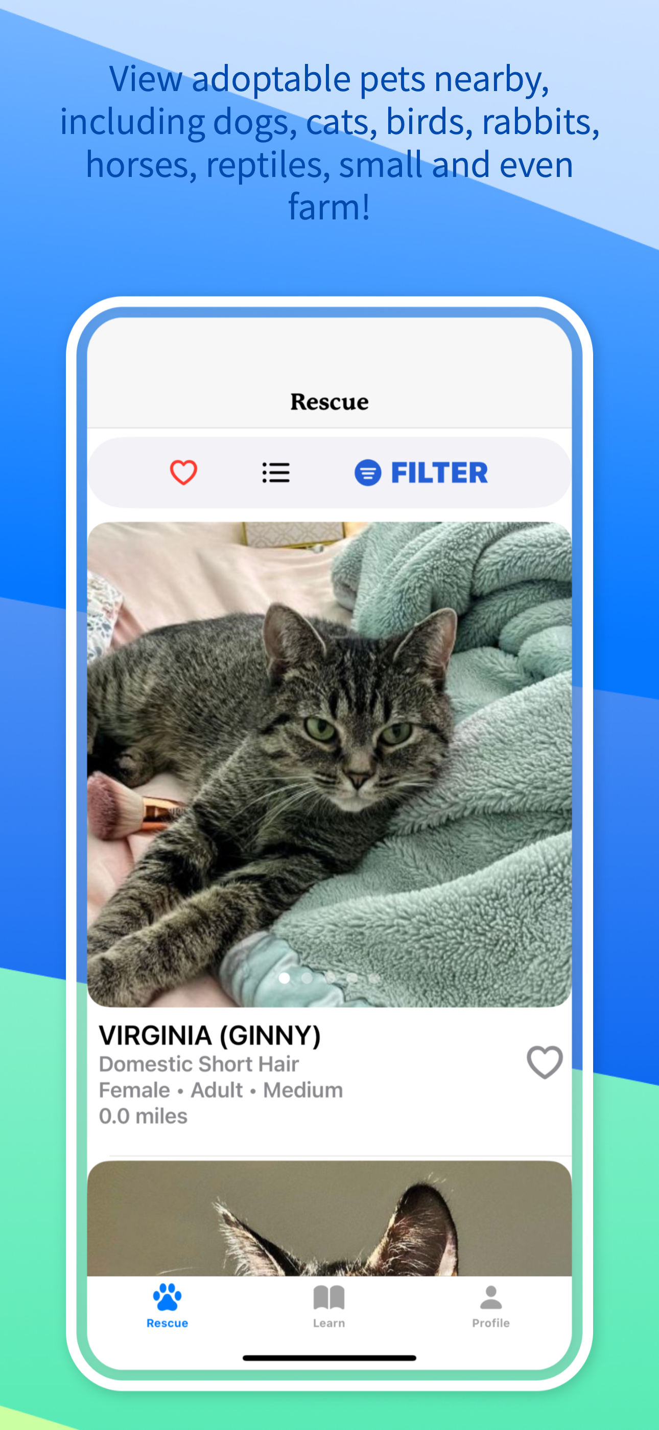 WeRescue: Adopt a Pet Search screenshot 4