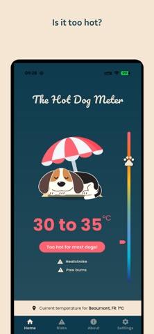 The Hot Dog Meter Screenshot 2 of 8