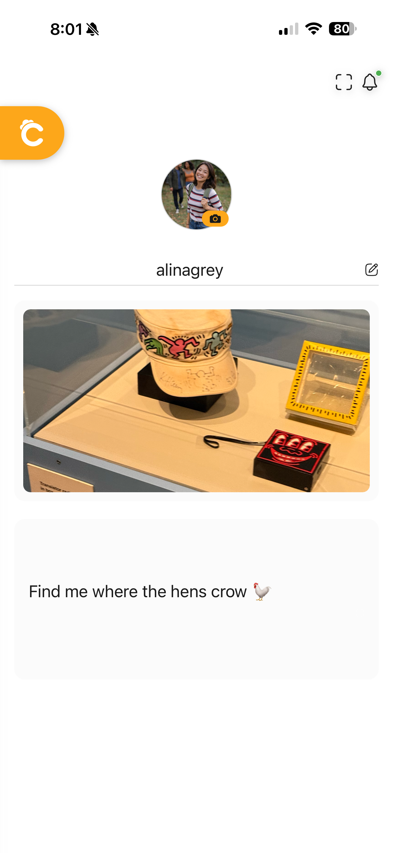 Cackle Messaging screenshot 4