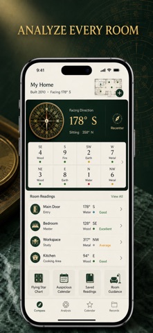Feng Shui Compass Luo Pan Screenshot 9 of 10