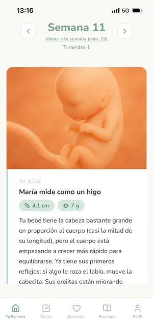 Numama - Tu compi de embarazo screenshot 1