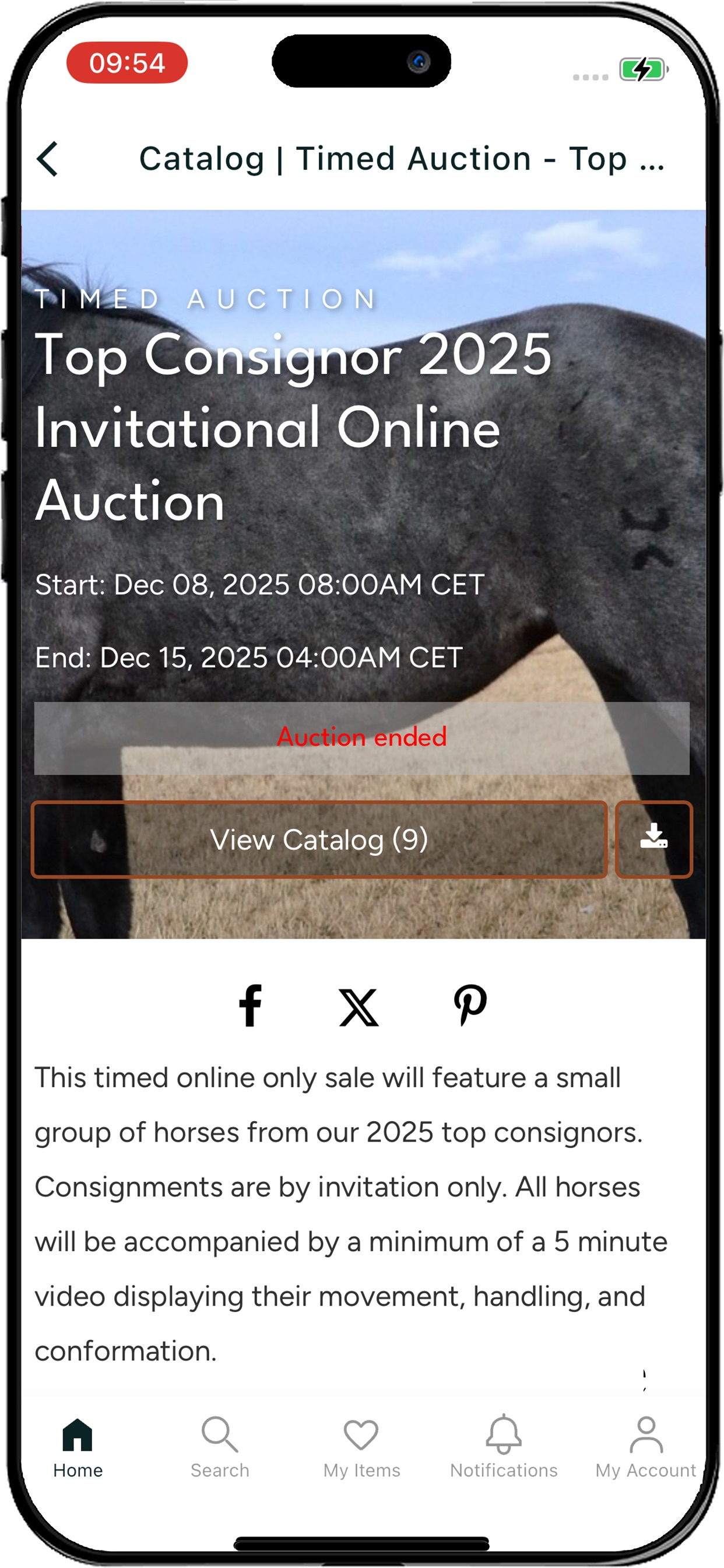 Colorado Horse Sale