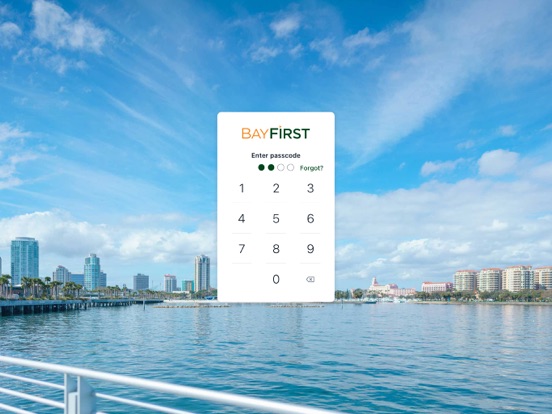 BayFirst National Bank iPad screenshot 2 - Finance app