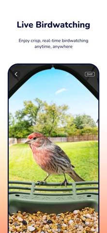 WoBirdy Screenshot 3 of 4