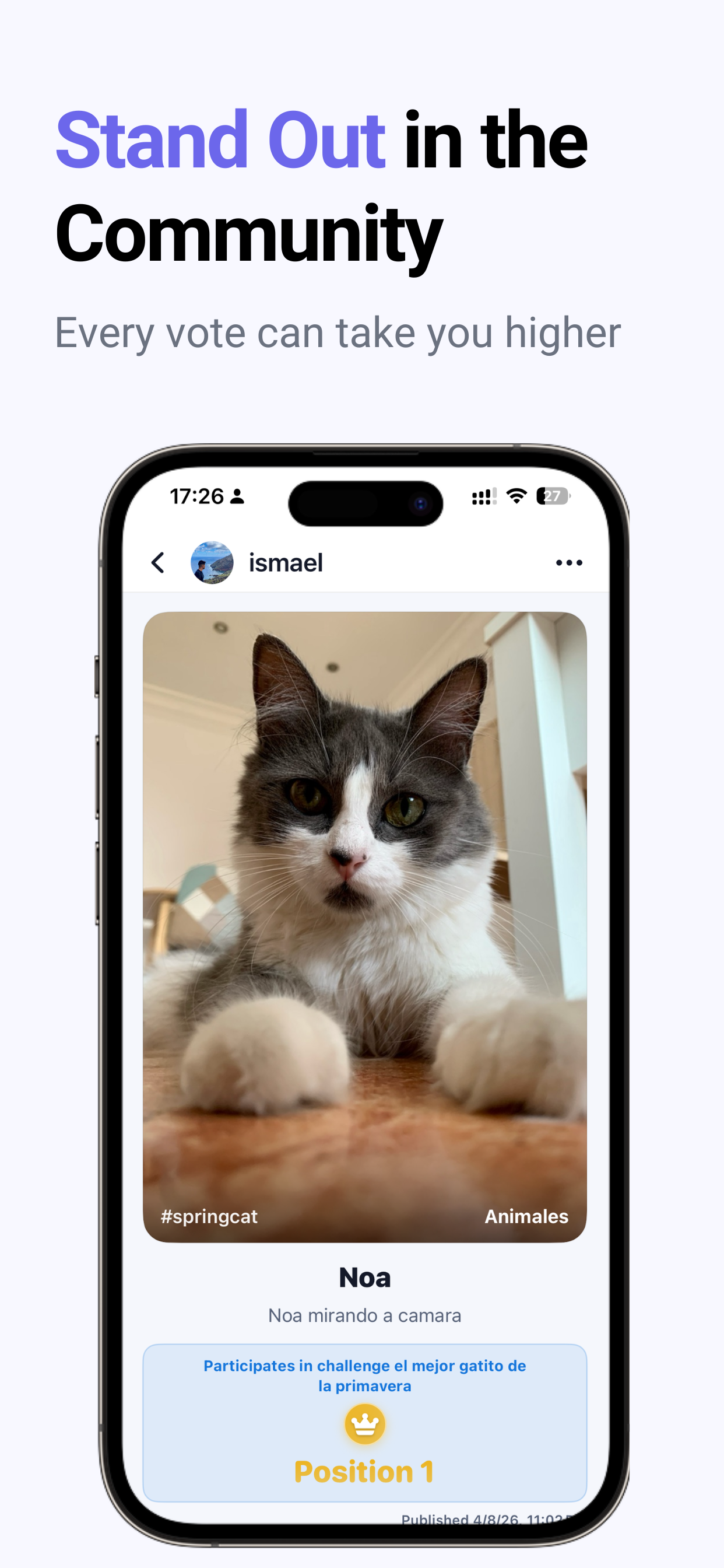 Temtaa: Vote on Images screenshot 8