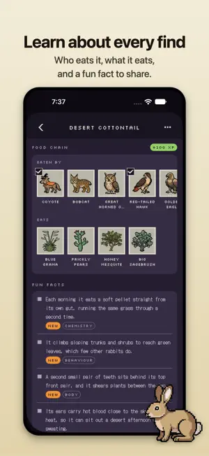 Pixel Wild: Nature Discovery screenshot 2