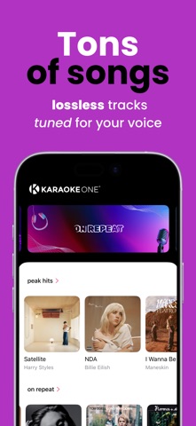 Karaoke One Screenshot 2 of 4
