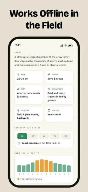 Bird Identifier, Bird Id screenshot 8