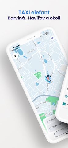 TAXI elefant screenshot