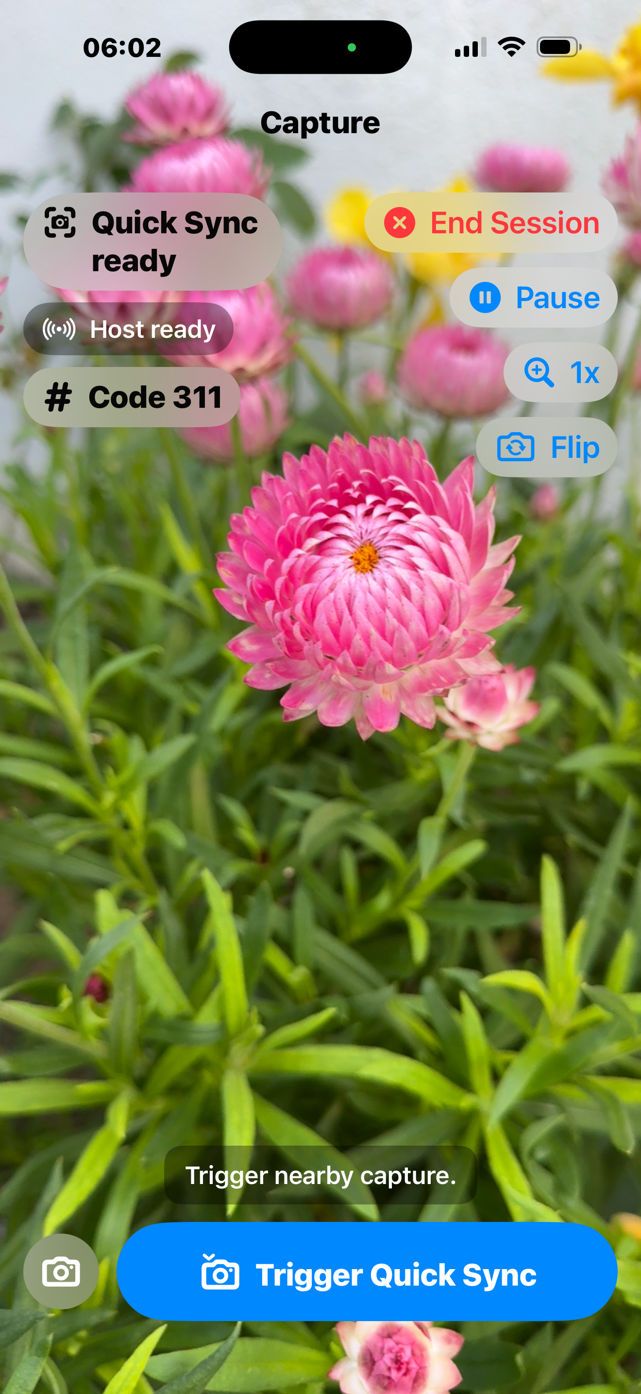 321Burst screenshot 3
