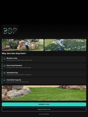 Dee Dog Park iPad screenshot