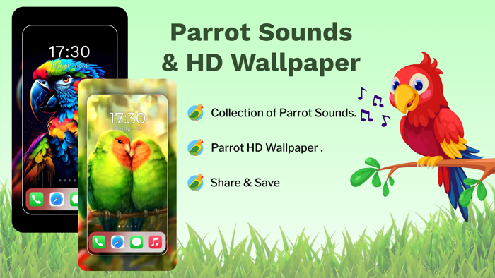 Parrot Sounds  4K Wallpapers