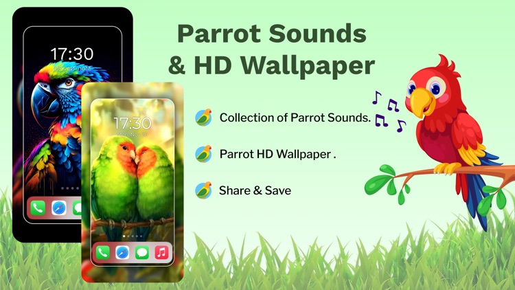 Parrot Sounds & 4K Wallpapers