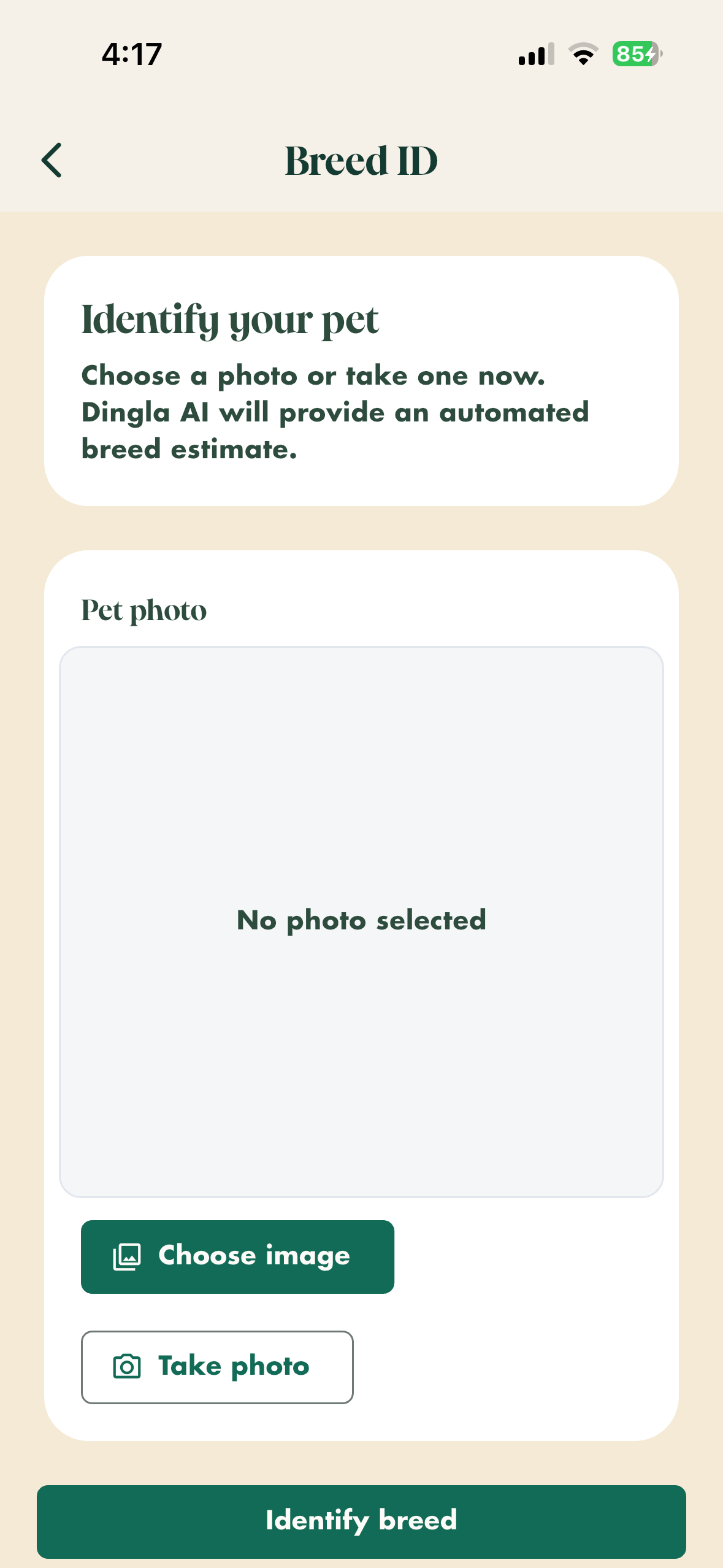 Dingla screenshot 8