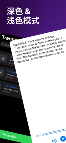 语音转文字·录音转文字·视频转文字 screenshot